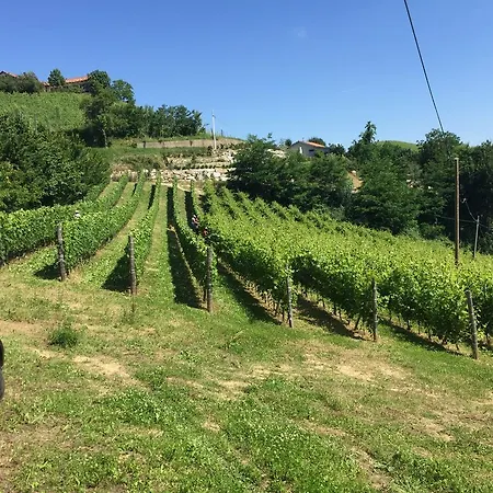 La Casa Gialla Apartment